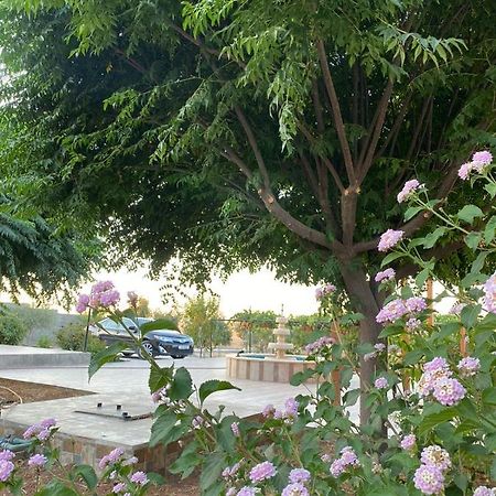 مزرعة النجم Najem Farm Villa Al-Qasr Buitenkant foto