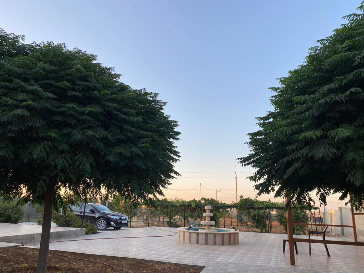 مزرعة النجم Najem Farm Villa Al-Qasr Buitenkant foto