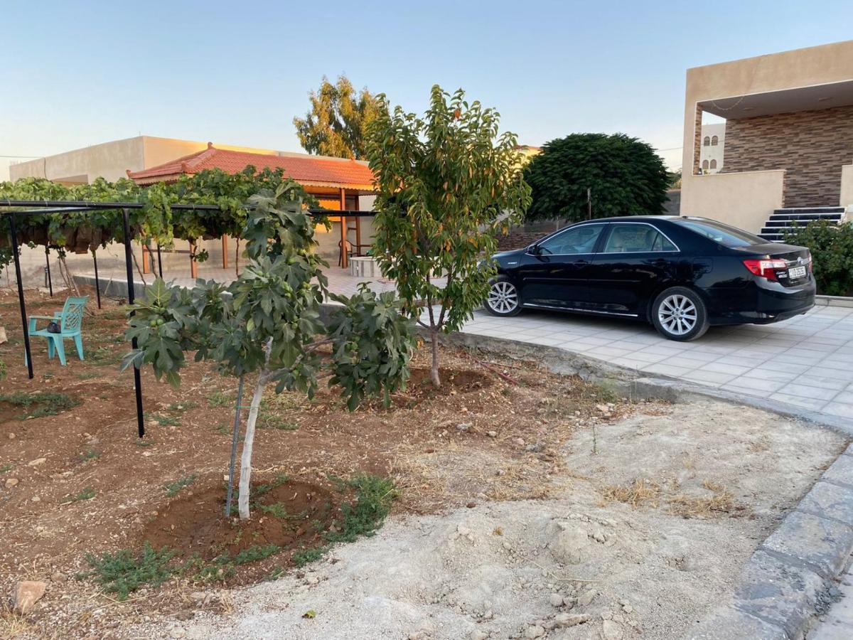 مزرعة النجم Najem Farm Villa Al-Qasr Buitenkant foto