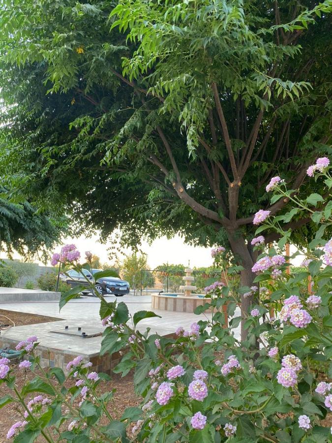 مزرعة النجم Najem Farm Villa Al-Qasr Buitenkant foto