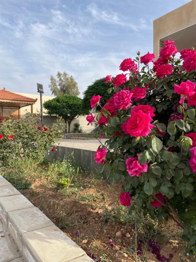 مزرعة النجم Najem Farm Villa Al-Qasr Buitenkant foto