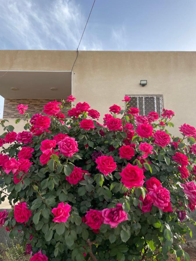 مزرعة النجم Najem Farm Villa Al-Qasr Buitenkant foto