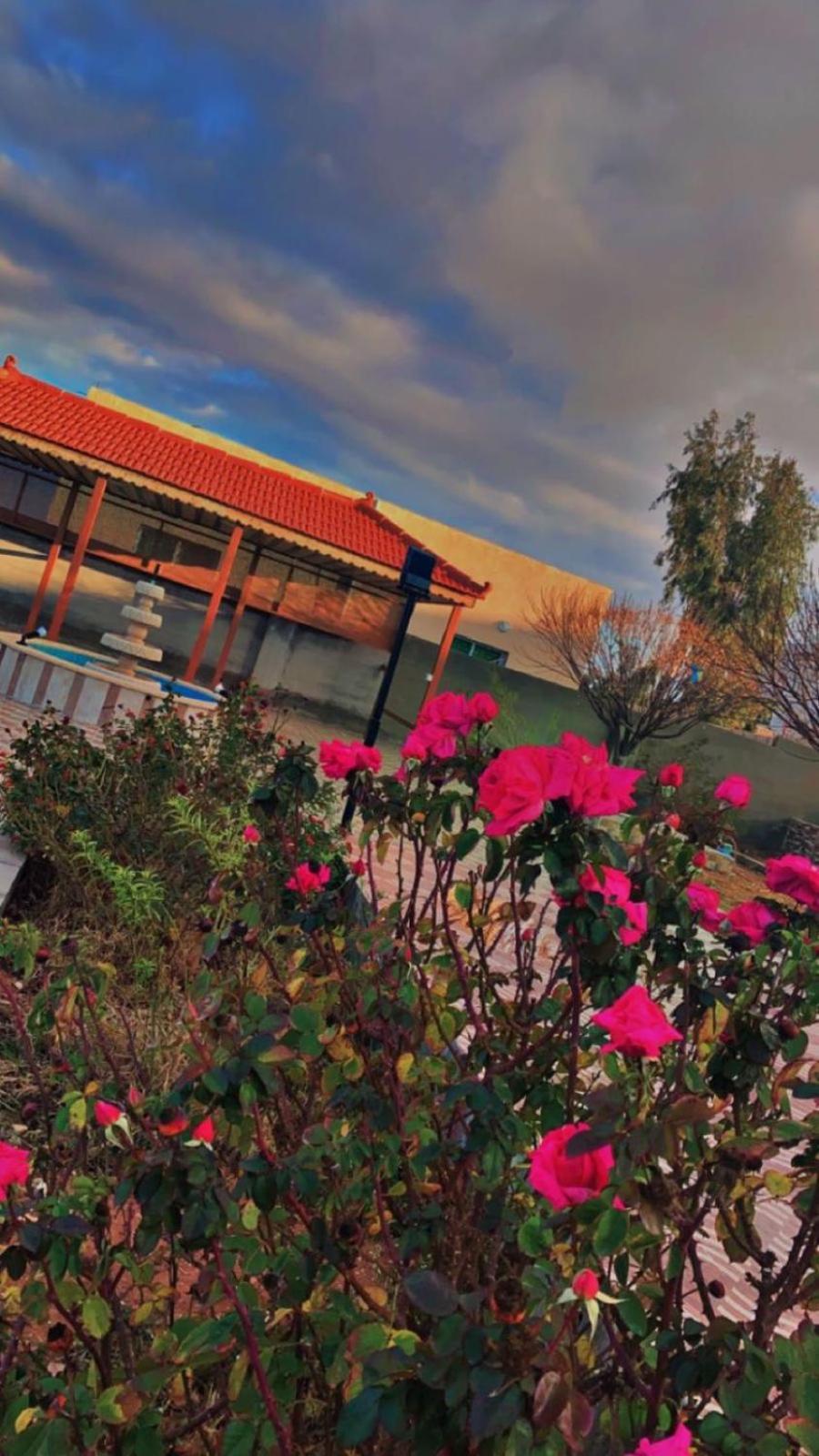 مزرعة النجم Najem Farm Villa Al-Qasr Buitenkant foto