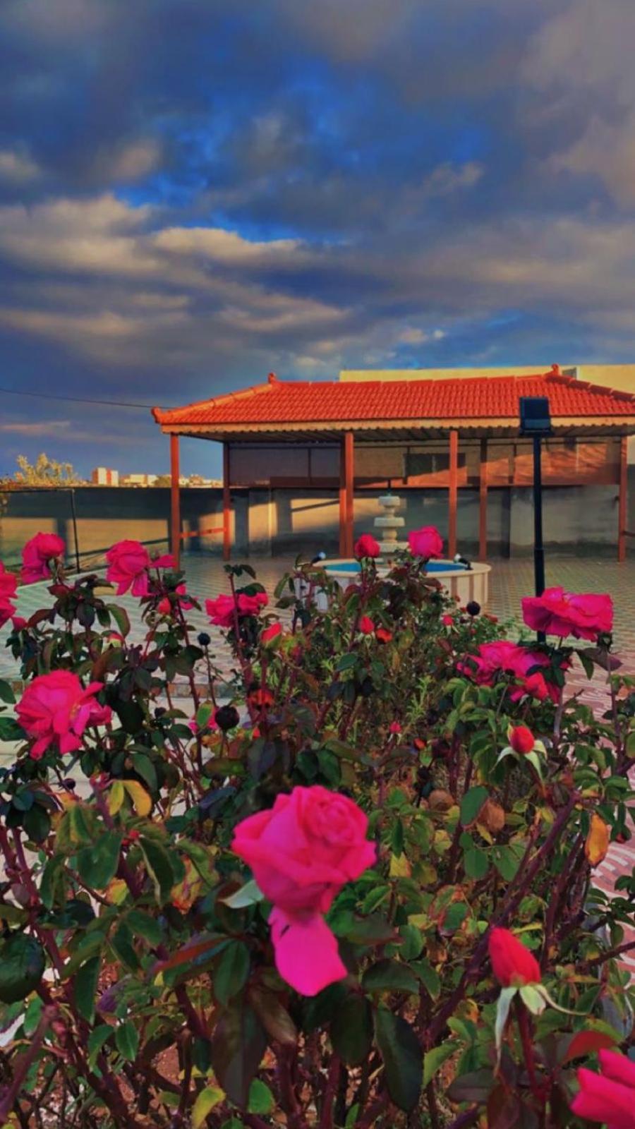 مزرعة النجم Najem Farm Villa Al-Qasr Buitenkant foto